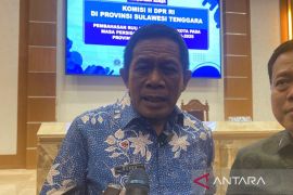 Wagub tegaskan Pulau Kawi-Kawia milik Sultra bukan Sulsel