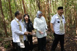 Babel integrasikan potensi desa - Koperasi Merah Putih