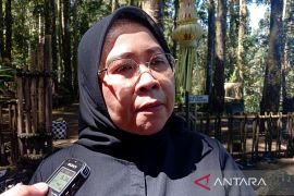 Anggota DPR yakini travel warning tak berdampak ke industri pariwisata