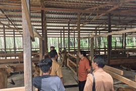 DPRD Kalsel: Kandang komunal contoh sukses peternak Tabalong