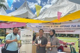 PLN Babel hadirkan produk unggulan UMKM binaan di KUKM Fest 2025