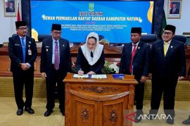 Pemkab Natuna tingkatkan tipe Dinas Pemberdayaan Perempuan Perlindungan Anak