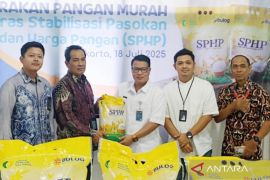 Kalsel kemarin dari beras murah hingga evaluasi faskes
