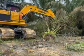 Warga TNTN bertahan meski batas relokasi mandiri habis, harapkan kejelasan dan solusi
