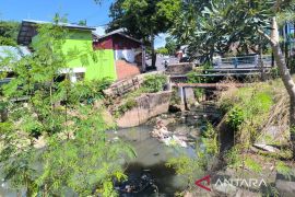 Pemkot Bengkulu imbau warga jaga kebersihan antisipasi DBD