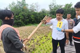 Korban penganiayaan tewas di Desa Habau Hulu
