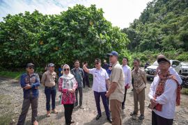 105 peneliti dikirim ke Sulbar