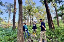 Kalsel membangun pusat operasional kehutanan hibah dari Kemenhut