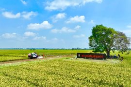 Holding pangan:  Warisan ekonomi untuk Generasi Emas