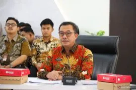 BUMDs should become pillars for regional revenue: Ministry