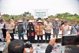 Kubu Raya gencarkan penanaman cabai di pekarangan rumah