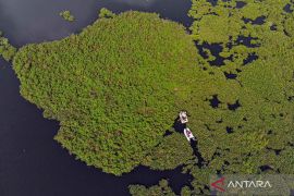 Eceng gondok memenuhi Situ Gunung Putri Bogor mengakibatkan pendangkalan dan rawan terjadi banjir