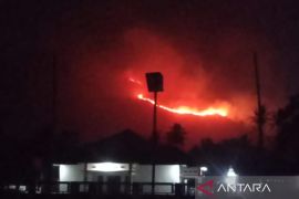 Petugas Damkar berjibaku padamkan api karhutla di Kabupaten Solok