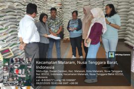 Bantuan beras CPP sebanyak 623,34 ton siap didistribusikan di Mataram