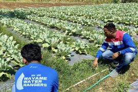 Pertamina IT Wayame Ambon hadirkan program inovasi Wayame Hydro Bae