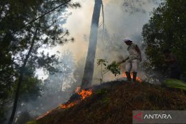 BNPB: Tim gabungan berhasil padamkan tiga hektare karhutla di Solok