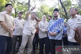 Komisi IV DPR RI prihatin dengan kondisi Taman Wisata Alam (TWA) Punti Kayu Palembang