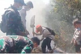 30 hektar lahan di Tanah Datar terbakar selama musim kemarau