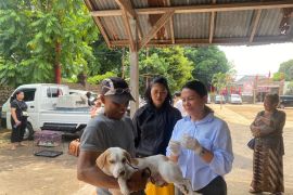 Vaksinasi rabies di Kota Denpasar mencapai 57.350 HPR