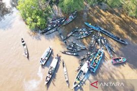 Earning a living from bekantan conservation area on Curiak Island