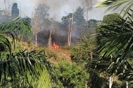 Kawasan tahura di Kabupaten Batang Hari terbakar