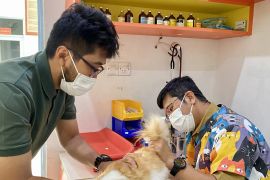 Batam vaksinasi hewan cegah penyakit menular