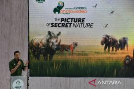 Roadshow International Animal Photo and Video Competition (IAPVC) 2025 di TSI Bogor