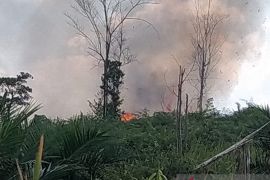Manggala Agni pastikan api padam di kawasan Tahura Batang Hari
