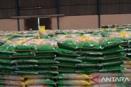 Pemprov Babel akan menindak tegas pengoplos beras