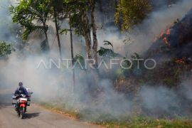 Karhutla di Solok Page 3 Small