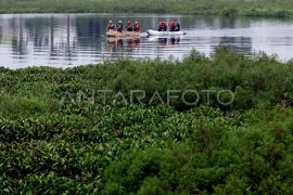 Eceng gondok memenuhi Situ Gunung Putri Bogor