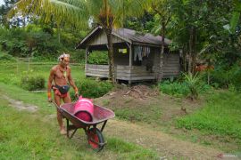 Jalan panjang Si Merah Muda ke pedalaman Kepulauan Mentawai