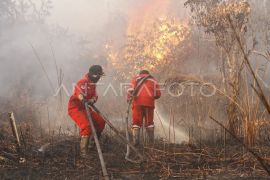 Pemadaman Kebakaran Lahan Gambut di Desa Rimbo Panjang