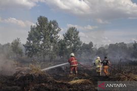 KLH siap tindak perusahaan lalai cegah karhutla