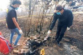 Polisi dalami kebakaran lahan tewaskan seorang petani perempuan di Humbahas