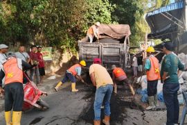 Regal Springs Indonesia bantu perbaiki akses wisata Danau Toba