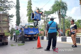 Dishub Kotim pangkas pohon demi keselamatan pengendara