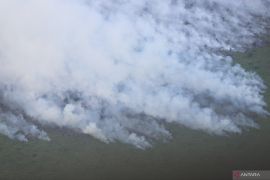 Menhut sebut cuaca panas ekstrem salah satu faktor utama penyebab karhutla Riau