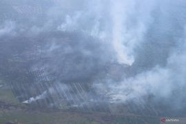BNPB ungkap 16 orang ditetapkan tersangka pembakaran lahan di Riau