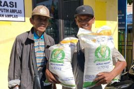 Bulog Sumut salurkan  1.400 ton beras bantuan pangan ke masyarakat