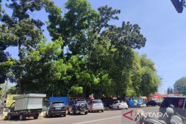 Pemkot: Perubahan cuaca sebabkan kasus ISPA di Bengkulu meningkat