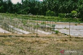 PUPR Mukomuko bangun irigasi jebol akibat banjir pada 2026