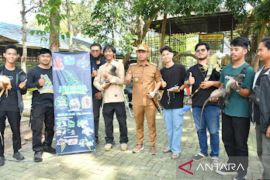 Banjarmasin gandeng komunitas pecinta satwa hidupkan Kebun Binatang Jahri Saleh