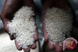 Disperindag memastikan belum ada temuan beras oplosan di DIY