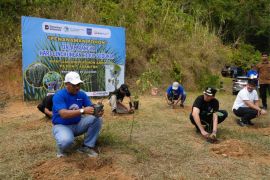 PTBA tanam 500 bibit aren dan bambu di lahan pascatambang Sawahlunto