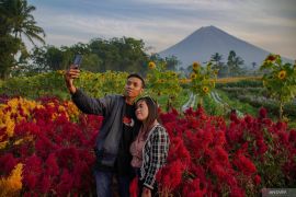 Potensi Desa Wisata Sumberurip Lumajang