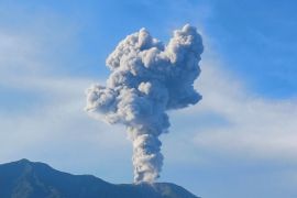 Gunung Marapi Sumbar erupsi setinggi 1.600 meter pada Rabu pagi