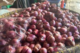 Bapanas: Harga cabai rawit Rp45.031/kg, bawang merah Rp38.100/kg