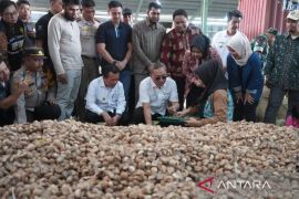 Perekonomian Jambi tumbuh 4,55 persen pada triwulan I 2025