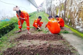 Ditjenpas Maluku galakkan program ketahanan pangan pada sejumlah Lapas